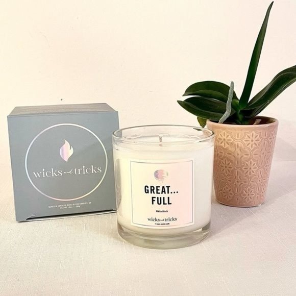 Wicks and Tricks Other - Wicks and Tricks Candle 10 oz Great Full White Birch Scent New in Glass Jar